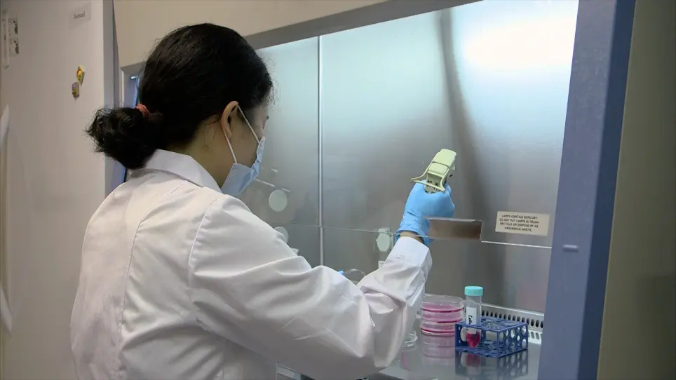 Density Gradient Ultracentrifugation for Investigating Endocytic Recycling in Mammalian Cells