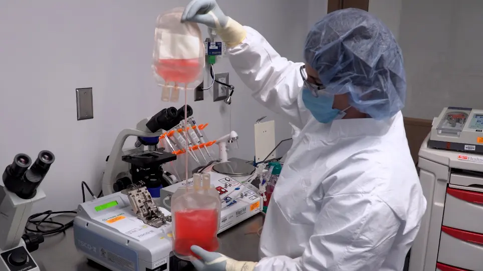 Expansion and Enrichment of Gamma-Delta (γδ) T Cells from Apheresed Human Product
