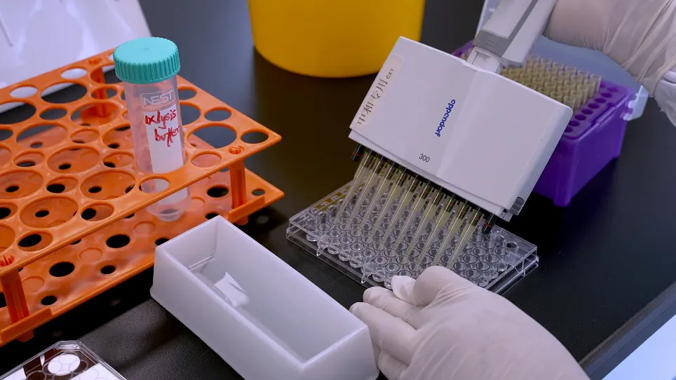 Preparation of Pseudo-Typed H5 Avian Influenza Viruses with Calcium Phosphate Transfection Method and Measurement of Antibody Neutralizing Activity