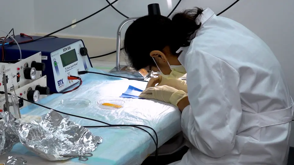 Implantation of a Cranial Window for Repeated <em>In Vivo</em> Imaging in Awake Mice