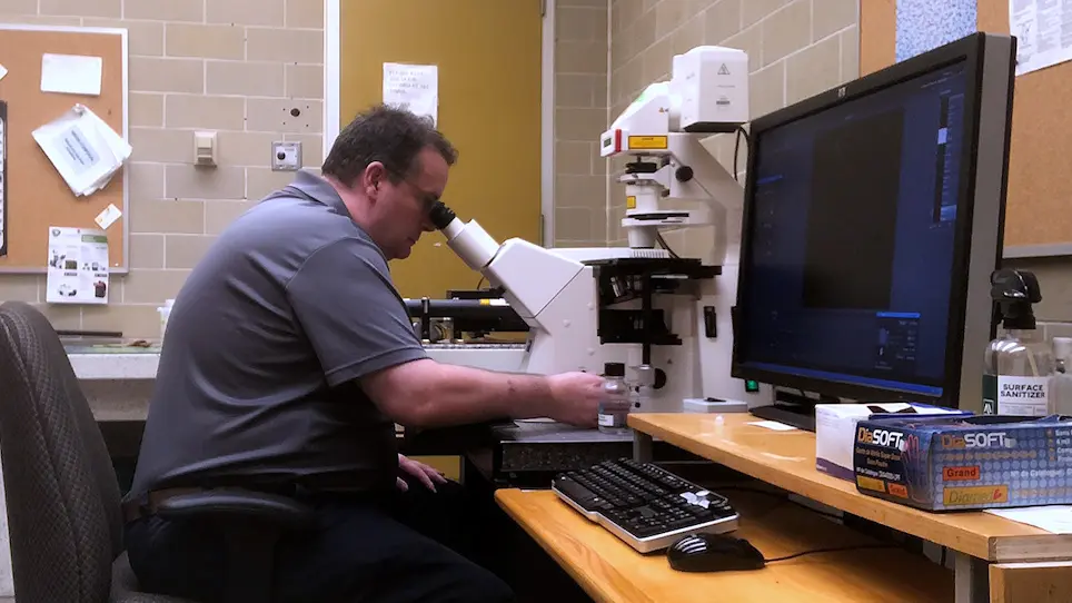Determining the Toxicity of UV Radiation and Chemicals on Primary and Immortalized Human Corneal Epithelial Cells