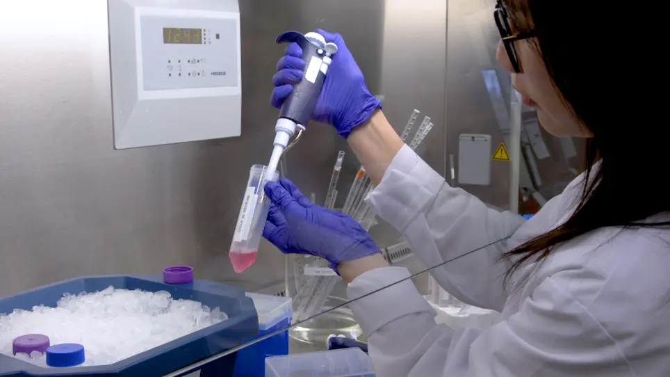 Growth, Purification, and Titration of Oncolytic Herpes Simplex Virus