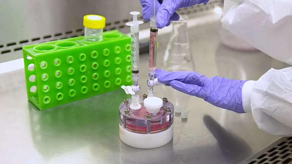 Propagation of Dental and Respiratory Cells and Organs in Microgravity