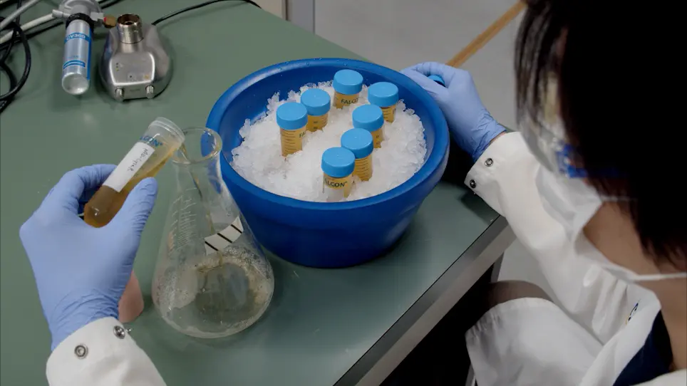 Rapid, Affordable, and Uncomplicated Production of Bacterial Cell-free Lysate