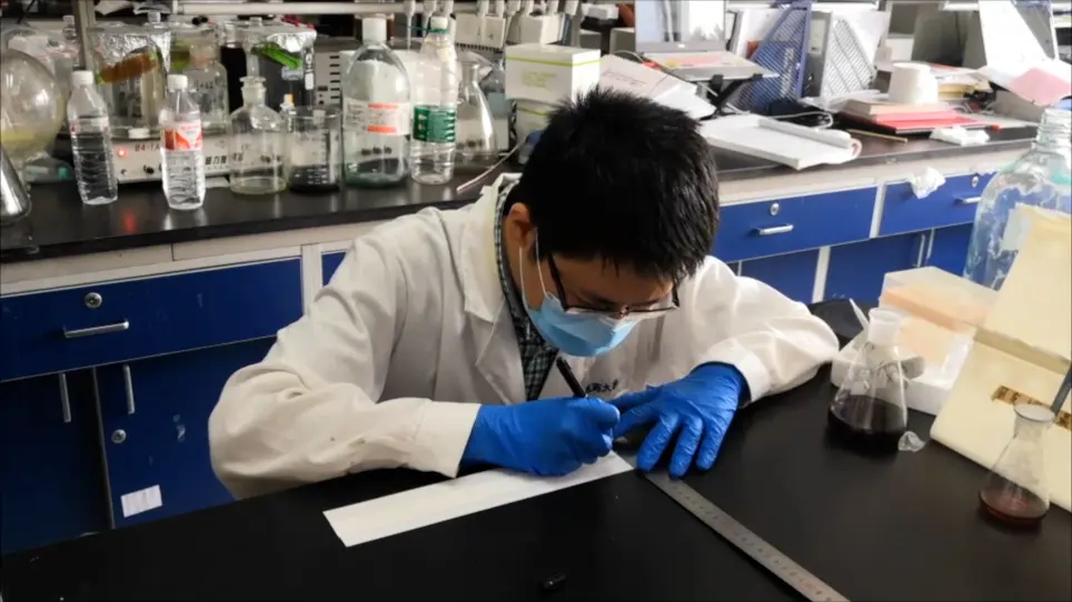 Development of a Lateral Flow Immunochromatographic Strip for Rapid and Quantitative Detection of Small Molecule Compounds