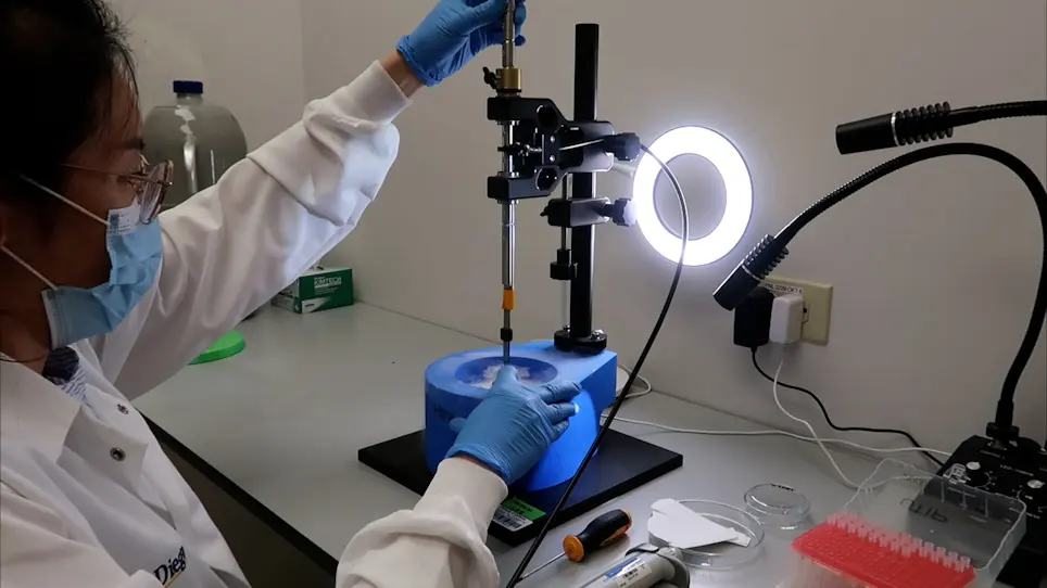 Manual Blot-and-Plunge Freezing of Biological Specimens for Single-Particle Cryogenic Electron Microscopy