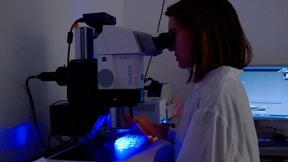 A Simple and Effective Transplantation Device for Zebrafish Embryos
