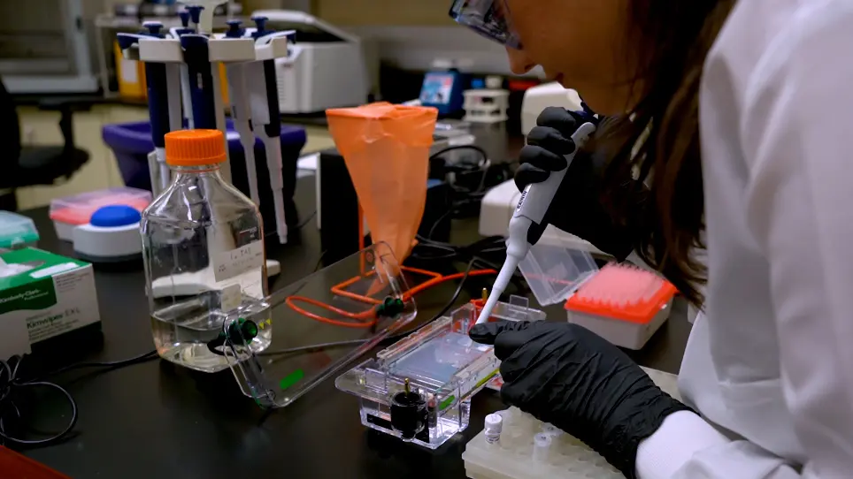 Rapid Characterization of Genetic Parts with Cell-Free Systems