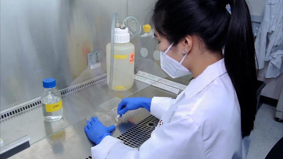 Automated Imaging and Analysis for the Quantification of Fluorescently Labeled Macropinosomes
