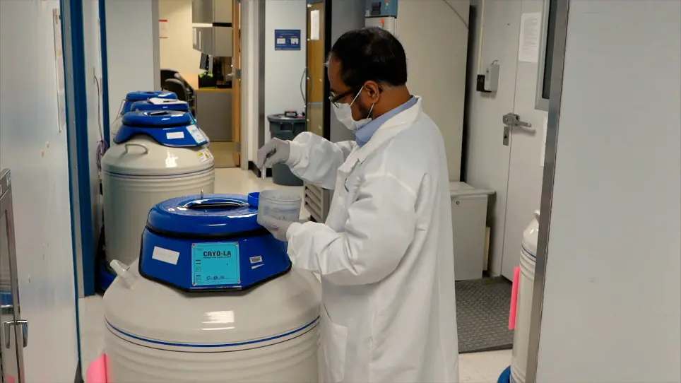 Process Development for the Production and Purification of Adeno-Associated Virus (AAV)2 Vector using Baculovirus-Insect Cell Culture System