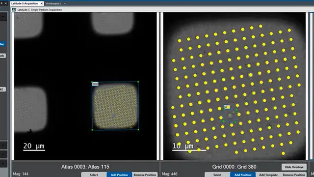 User-friendly, High-throughput, and Fully Automated Data Acquisition Software for Single-particle Cryo-electron Microscopy