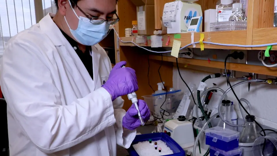 Isolation of Human Neutrophils from Whole Blood and Buffy Coats