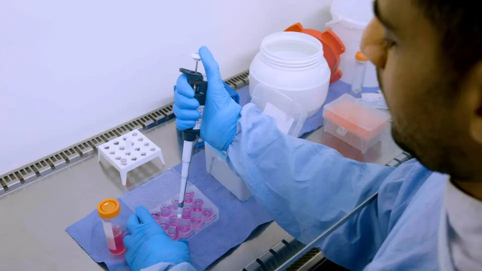 An Automated Culture System for Use in Preclinical Testing of Host-Directed Therapies for Tuberculosis