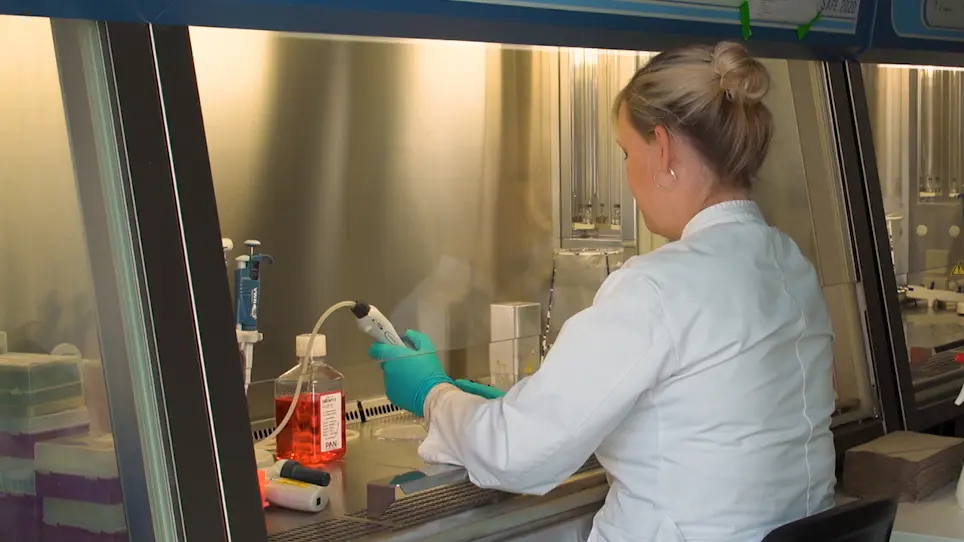 Measuring Composition of CD95 Death-Inducing Signaling Complex and Processing of Procaspase-8 in this Complex