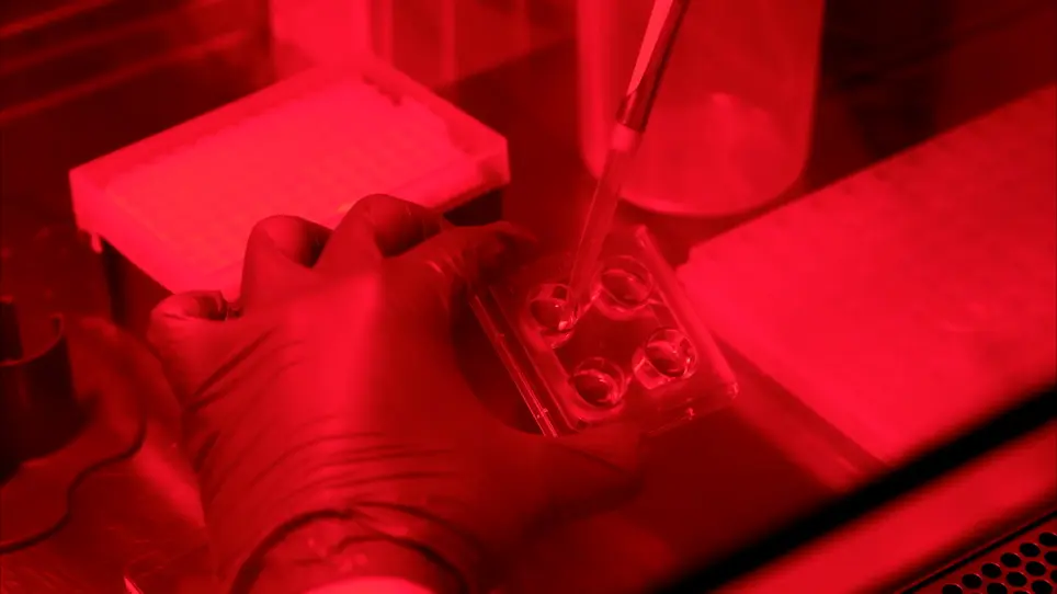 Bioluminescent Optogenetics 2.0: Harnessing Bioluminescence to Activate Photosensory Proteins <em>In Vitro</em> and <em>In Vivo</em>