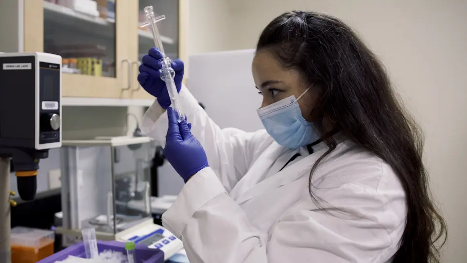 Analytical Determination of Mitochondrial Function of Excised Solid Tumor Homogenates