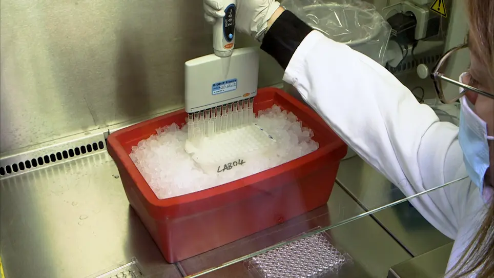 Analyzing Oxidative Stress in Murine Intestinal Organoids using Reactive Oxygen Species-Sensitive Fluorogenic Probe