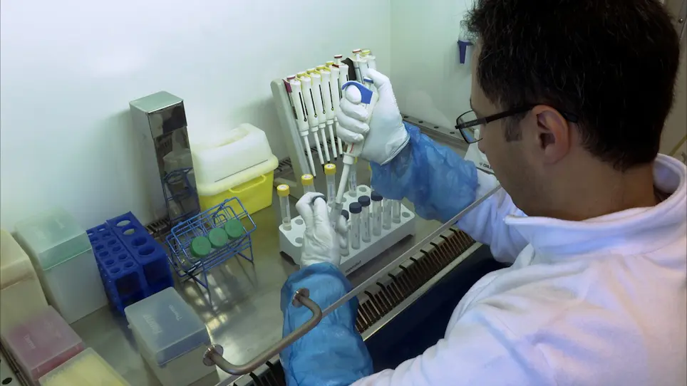 Measuring Mitochondrial Substrate Flux in Recombinant Perfringolysin O-Permeabilized Cells