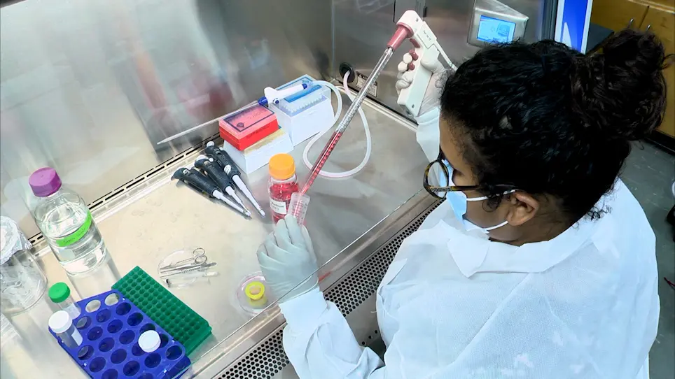 Measurement of Fatty Acid β-Oxidation in a Suspension of Freshly Isolated Mouse Hepatocytes