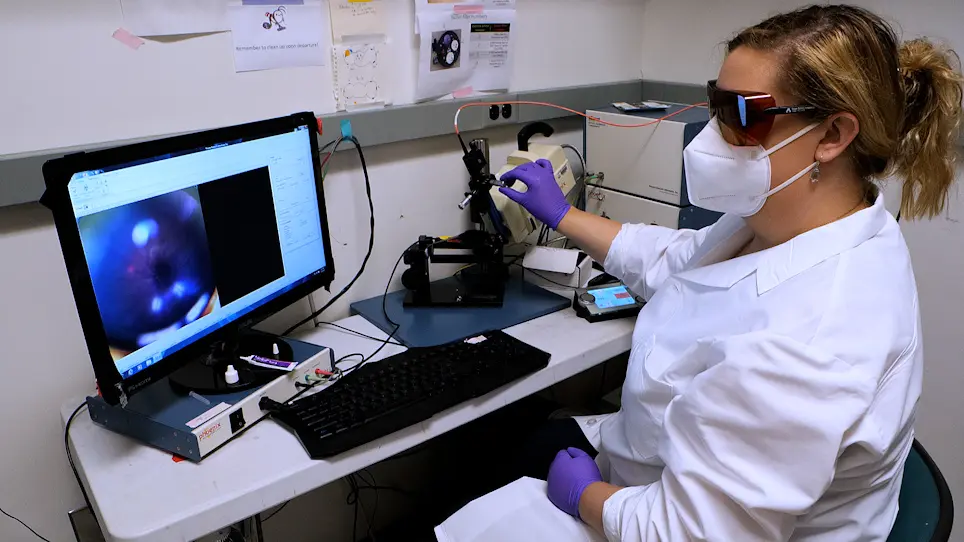 Optimization of the Retinal Vein Occlusion Mouse Model to Limit Variability