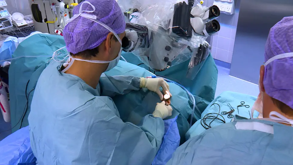The Microscopic Transcanal Approach in Stapes Surgery Revisited