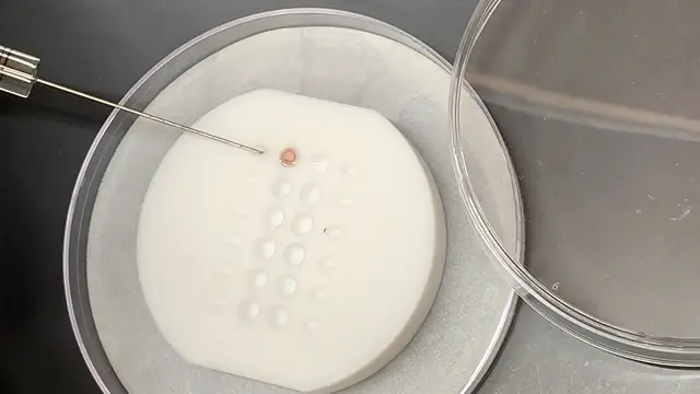 Sample Preparation using a Lipid Monolayer Method for Electron Crystallographic Studies