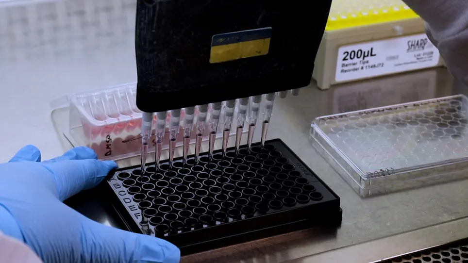 Profiling Sensitivity to Targeted Therapies in EGFR-Mutant NSCLC Patient-Derived Organoids