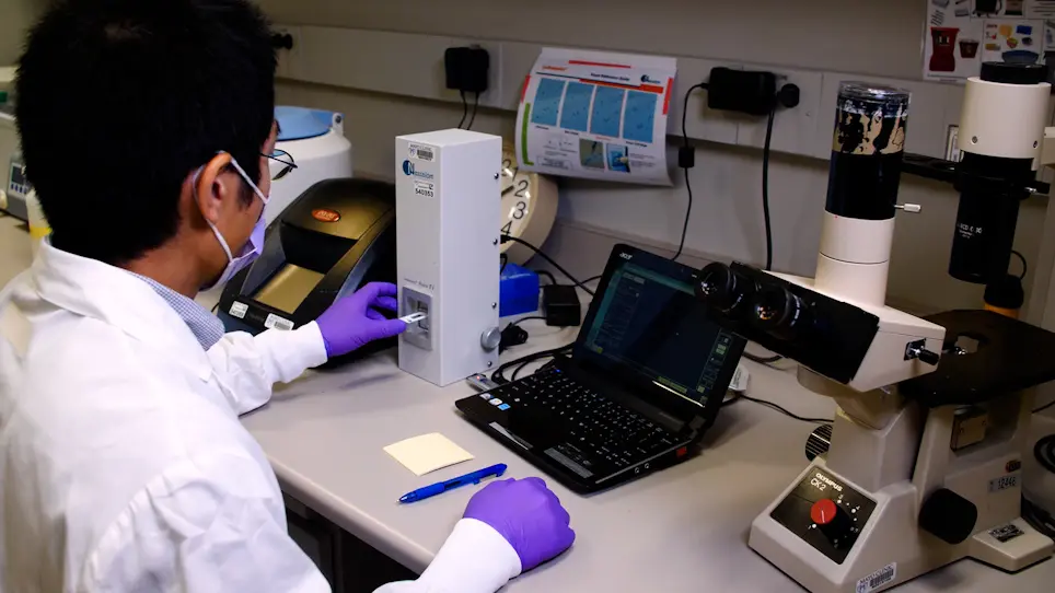 Isolation and Characterization of Mouse Primary Liver Sinusoidal Endothelial Cells