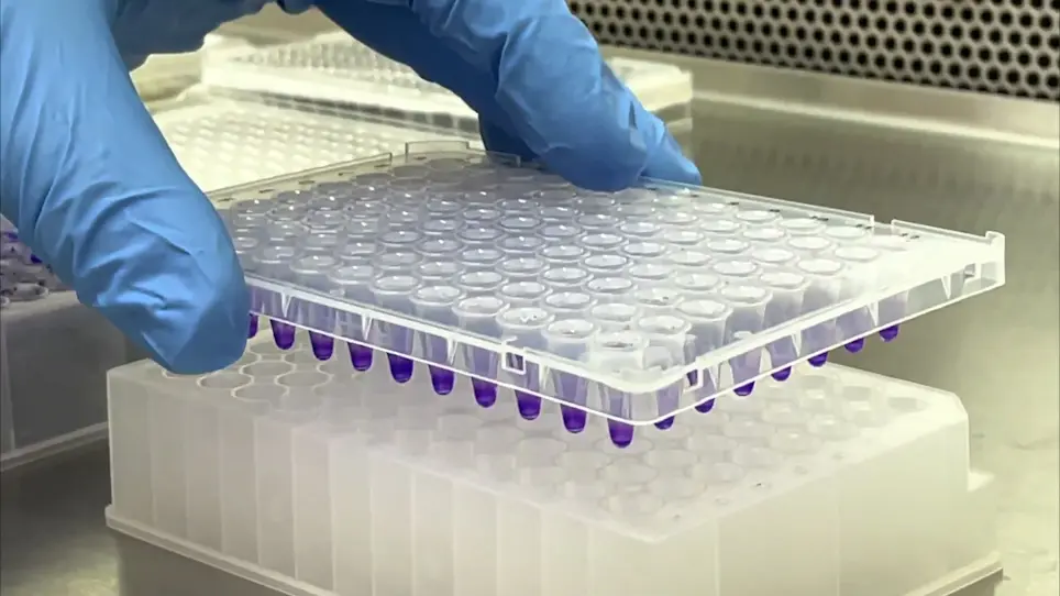 Generation of Greater Bacterial Biofilm Biomass using PCR-Plate Deep Well Microplate Devices