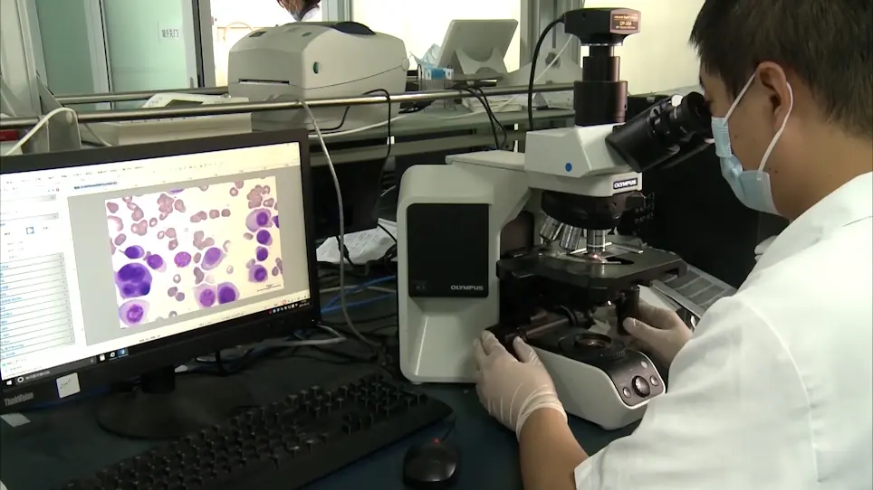 Interphase Fluorescence <em>in situ</em> Hybridization of Bone Marrow Smears of Multiple Myeloma