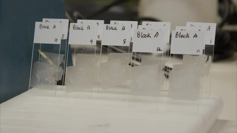 Manual Construction of a Tissue Microarray using the Tape Method and a Handheld Microarrayer