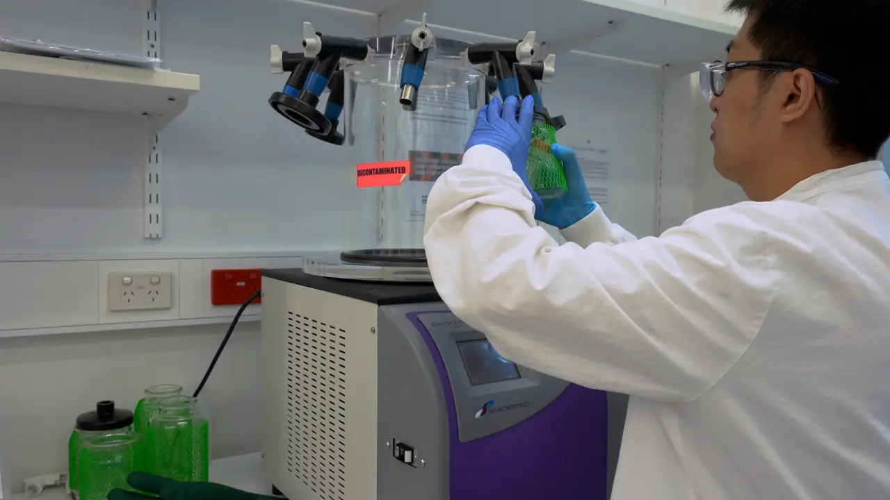 The Extraction of Liver Glycogen Molecules for Glycogen Structure Determination