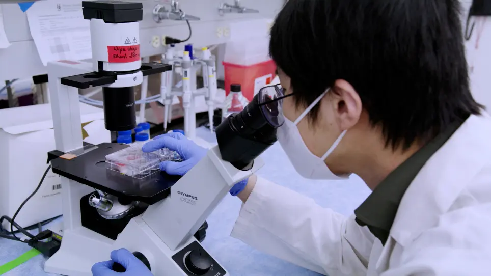 A Micropatterning Assay for Measuring Cell Chirality