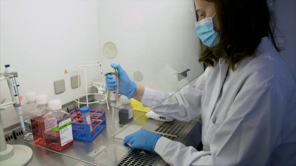 Injection of Porcine Adipose Tissue-Derived Stroma Cells via Waterjet Technology