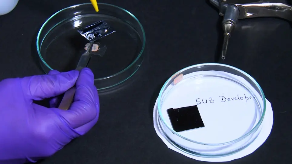 A Simple Microfluidic Chip for Long-Term Growth and Imaging of <em>Caenorhabditis elegans</em>