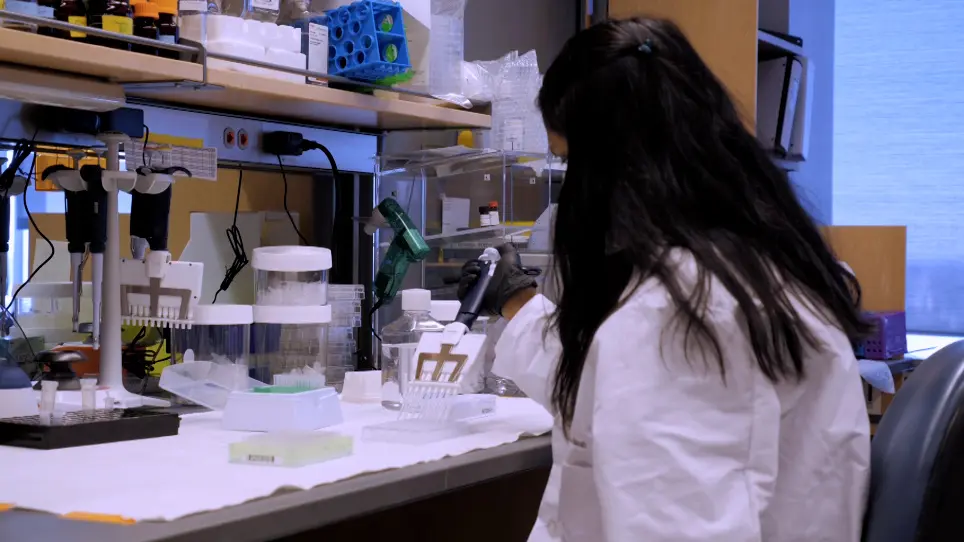 Using Real-Time Cell Metabolic Flux Analyzer to Monitor Osteoblast Bioenergetics