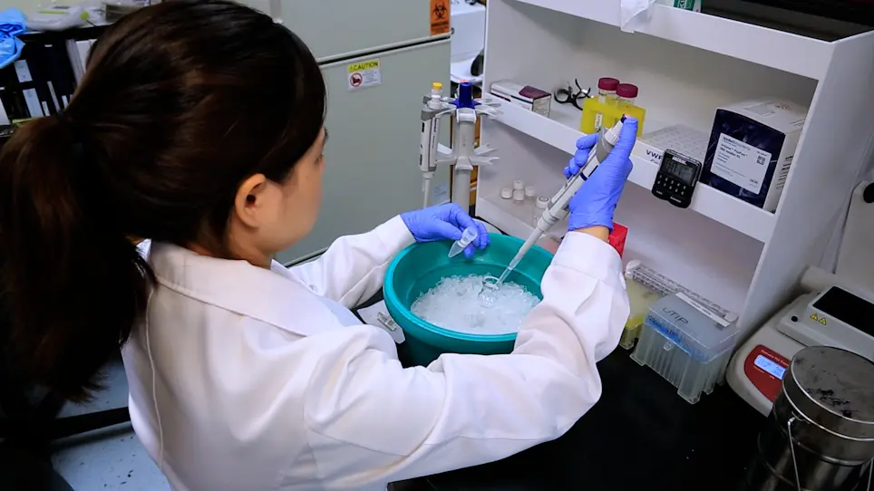 Isolate Cell-Type-Specific RNAs from Snap-Frozen Heterogeneous Tissue Samples without Cell Sorting