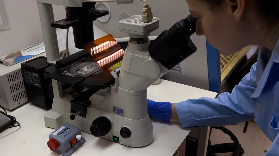 Measuring Cell-Edge Protrusion Dynamics during Spreading using Live-Cell Microscopy