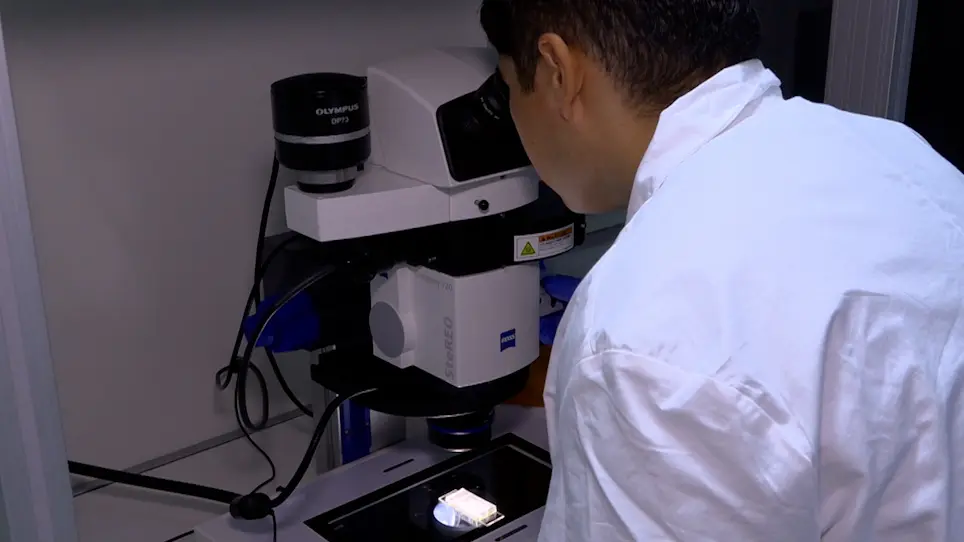 <em>Ex Utero</em> Culture of Mouse Embryos from Pregastrulation to Advanced Organogenesis