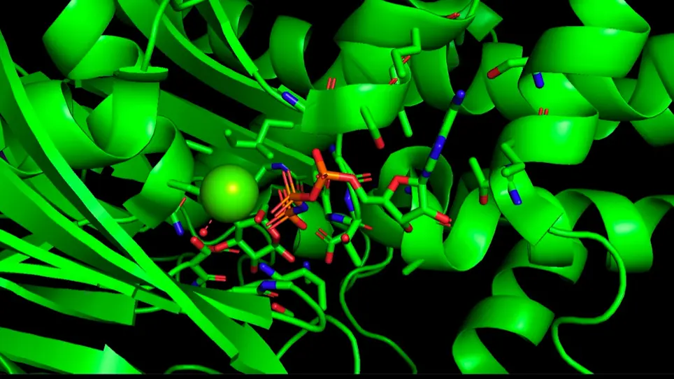 Modeling an Enzyme Active Site using Molecular Visualization Freeware