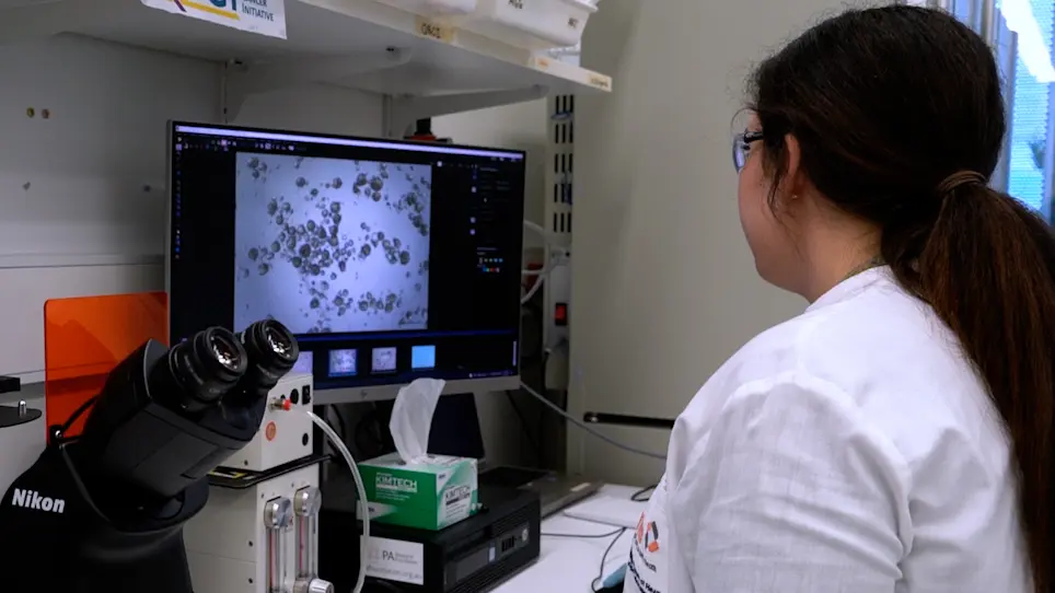 Culture of Bladder Cancer Organoids as Precision Medicine Tools