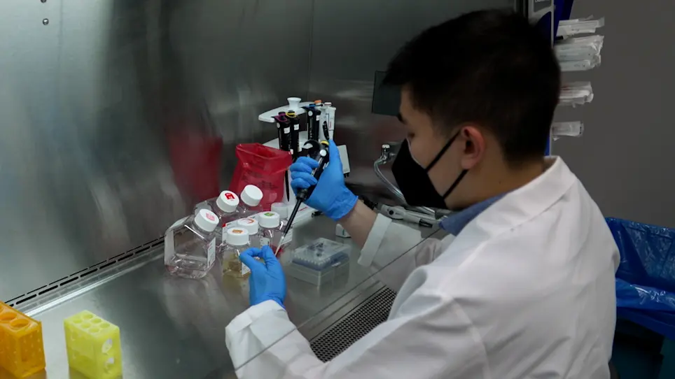 High-throughput Confocal Imaging of Quantum Dot-Conjugated SARS-CoV-2 Spike Trimers to Track Binding and Endocytosis in HEK293T Cells