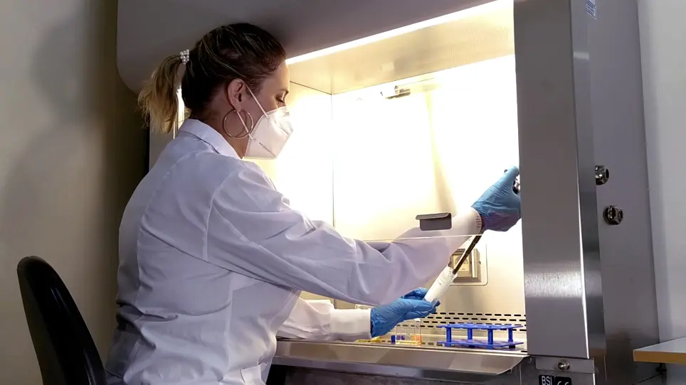 <em>In Vitro</em> Drug Screening Against All Life Cycle Stages of <em>Trypanosoma cruzi</em> Using Parasites Expressing β-galactosidase