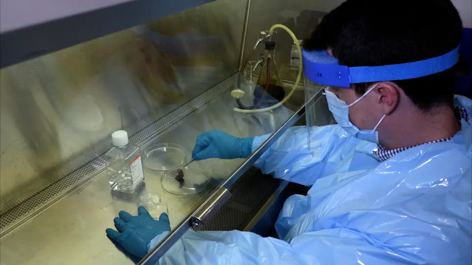 Visualizing and Quantifying Pharmaceutical Compounds within Skin using Coherent Raman Scattering Imaging