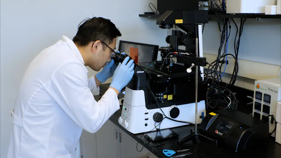 A Microphysiological System to Study Leukocyte-Endothelial Cell Interaction during Inflammation