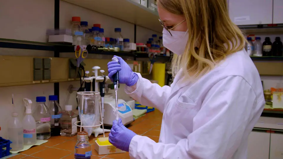 Extraction and Purification of FAHD1 Protein from Swine Kidney and Mouse Liver