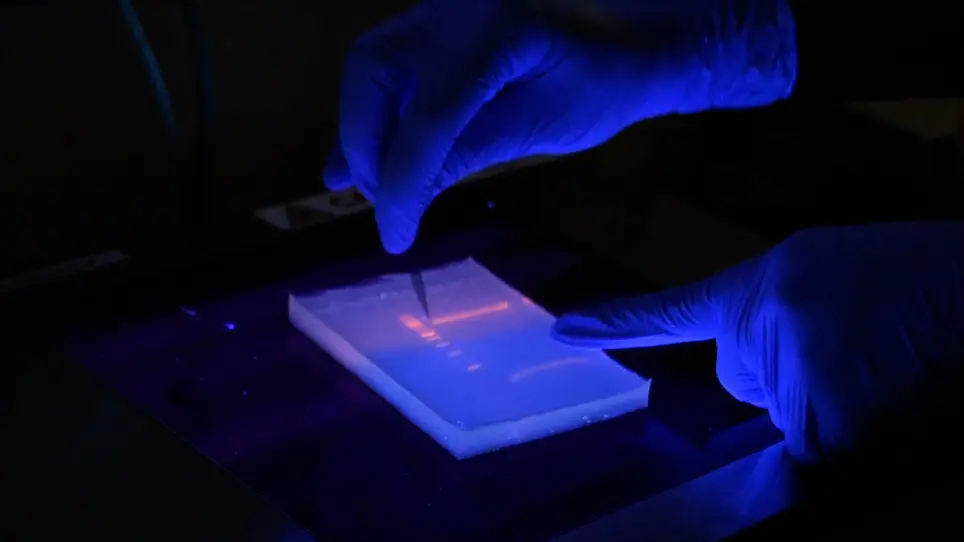 Pooled shRNA Library Screening to Identify Factors that Modulate a Drug Resistance Phenotype