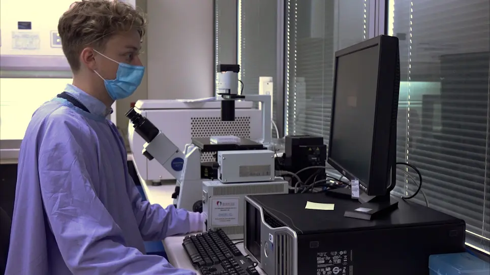 A Step-By-Step Method to Detect Neutralizing Antibodies Against AAV using a Colorimetric Cell-Based Assay