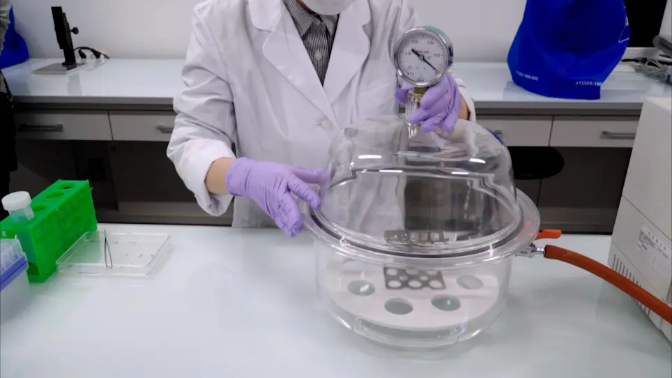 Optical Clearing of Plant Tissues for Fluorescence Imaging