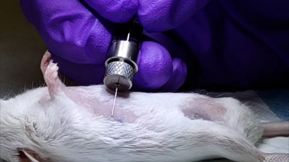 Intraductal Delivery and X-ray Visualization of Ethanol-Based Ablative Solution for Prevention and Local Treatment of Breast Cancer in Mouse Models